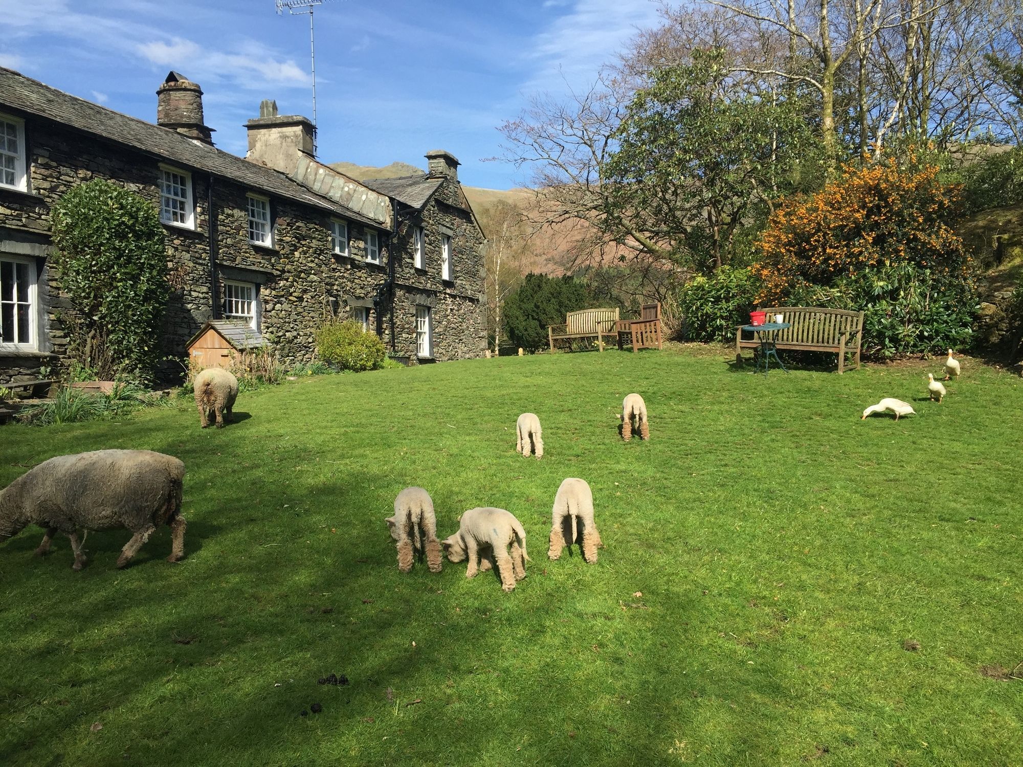 Thorney How Ambleside Buitenkant foto